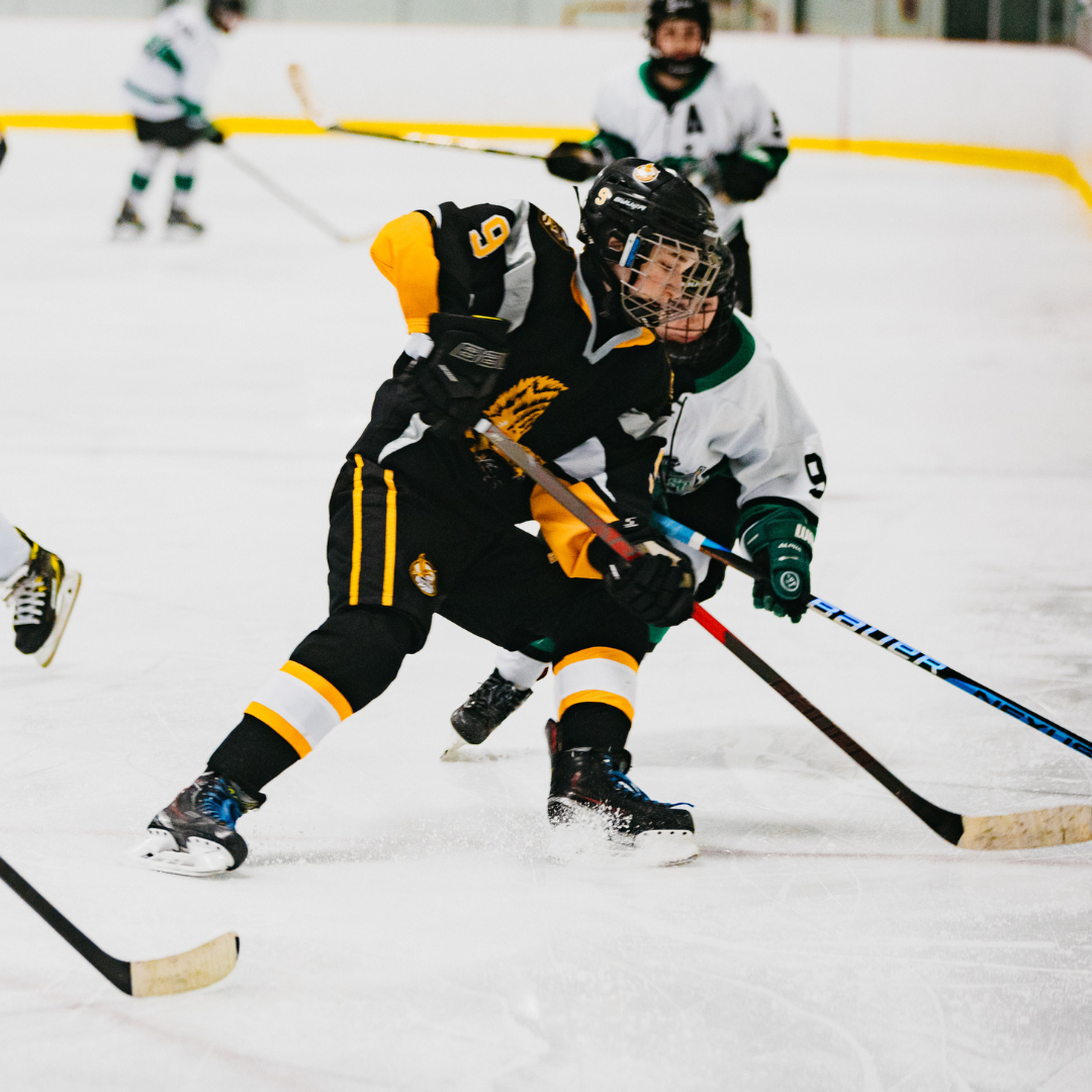 Edmonton Minor Hockey Ages 4 through 12 (1)