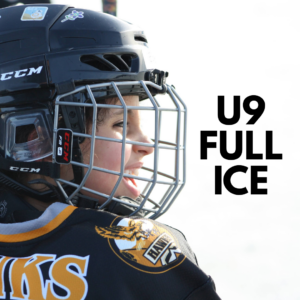 U9-Full-Ice-Featured-Graphic